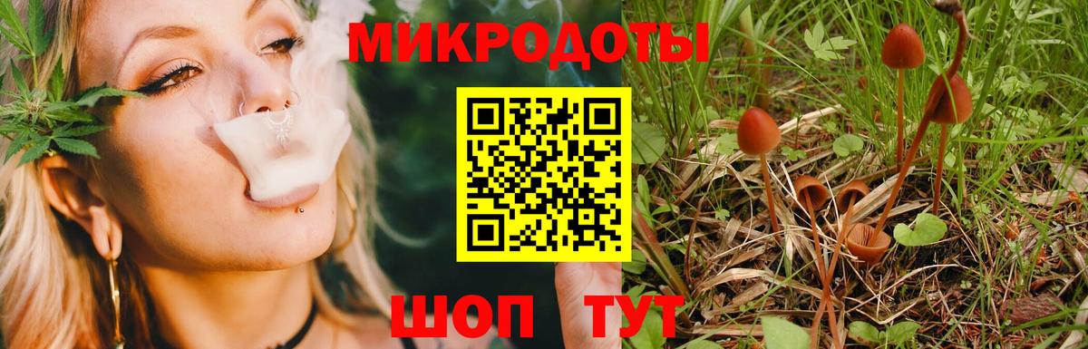 Галлюциногенные грибы MAGIC MUSHROOMS Нижний Новгород